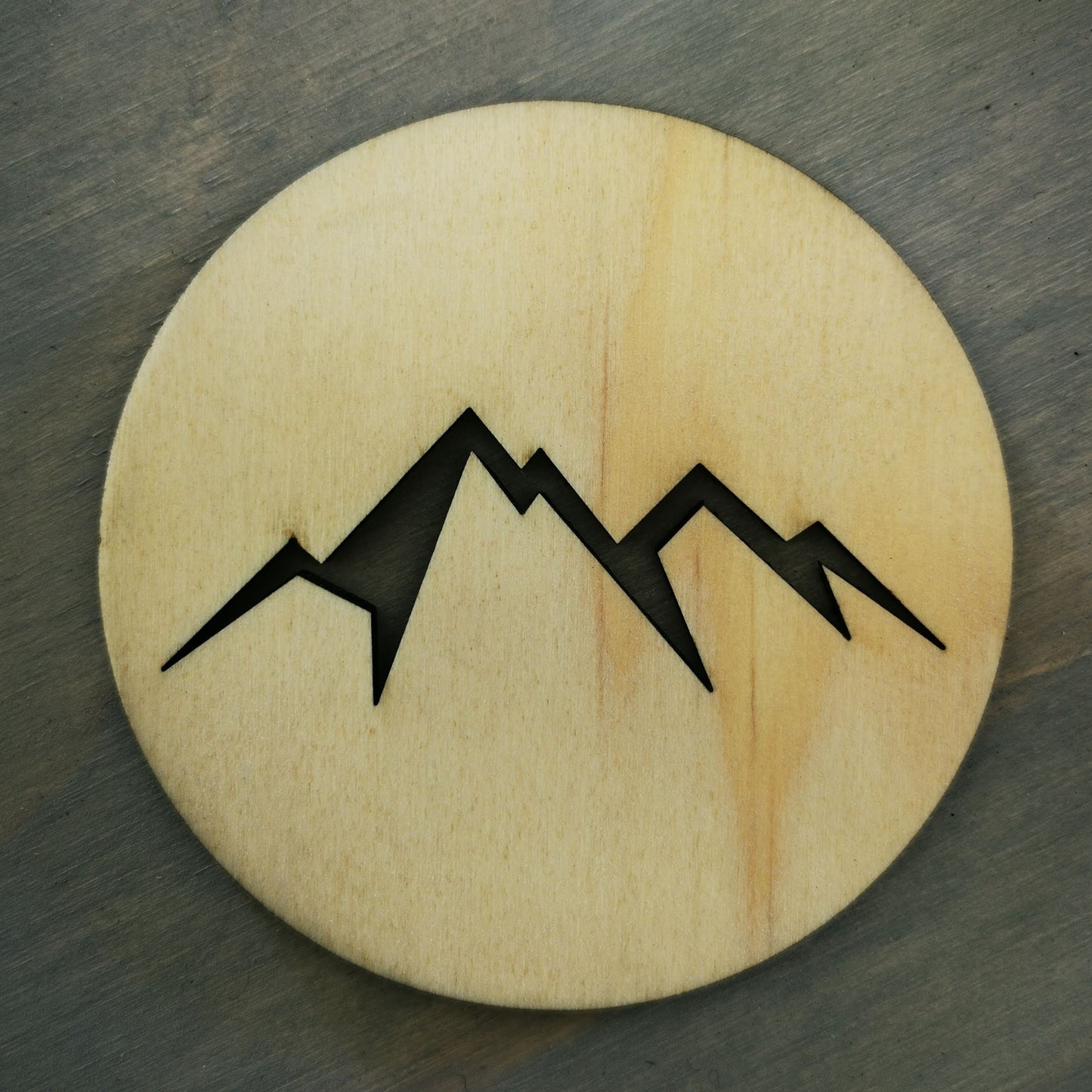 Mountain Coasters