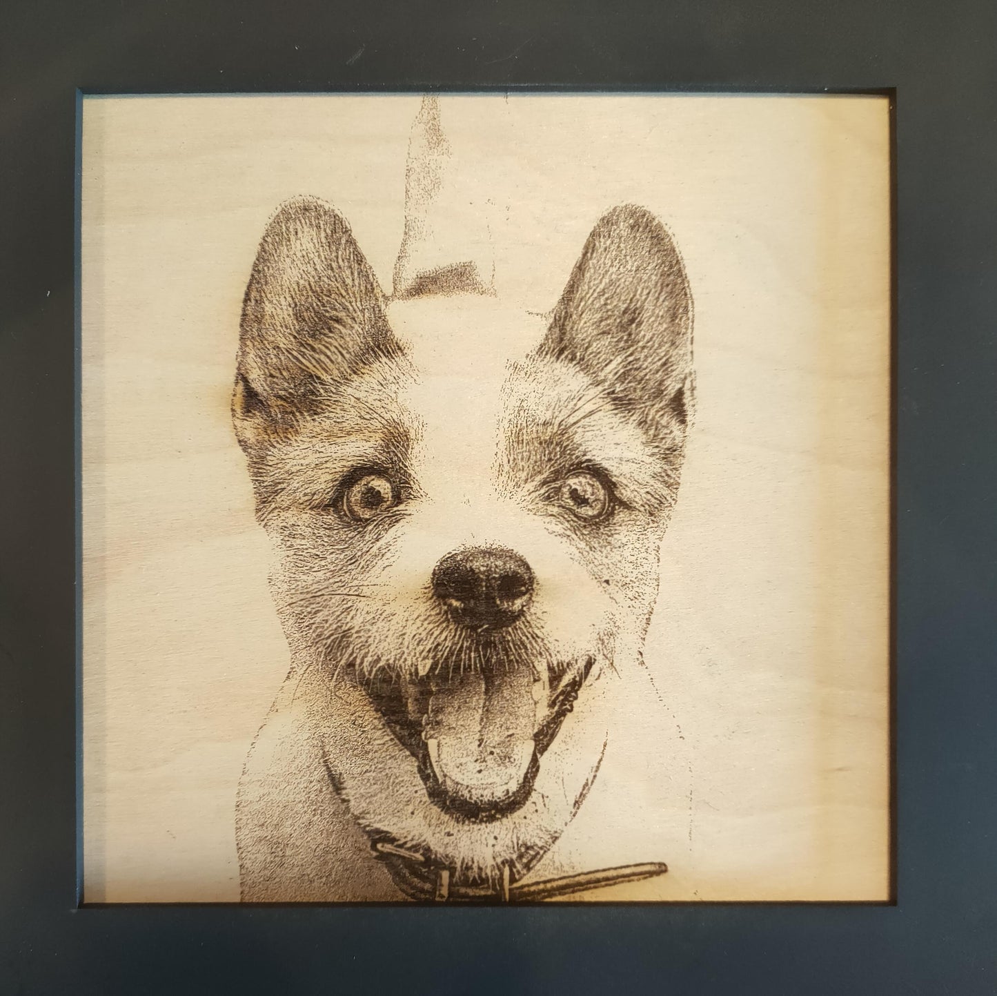 Engraved Pet Portraits