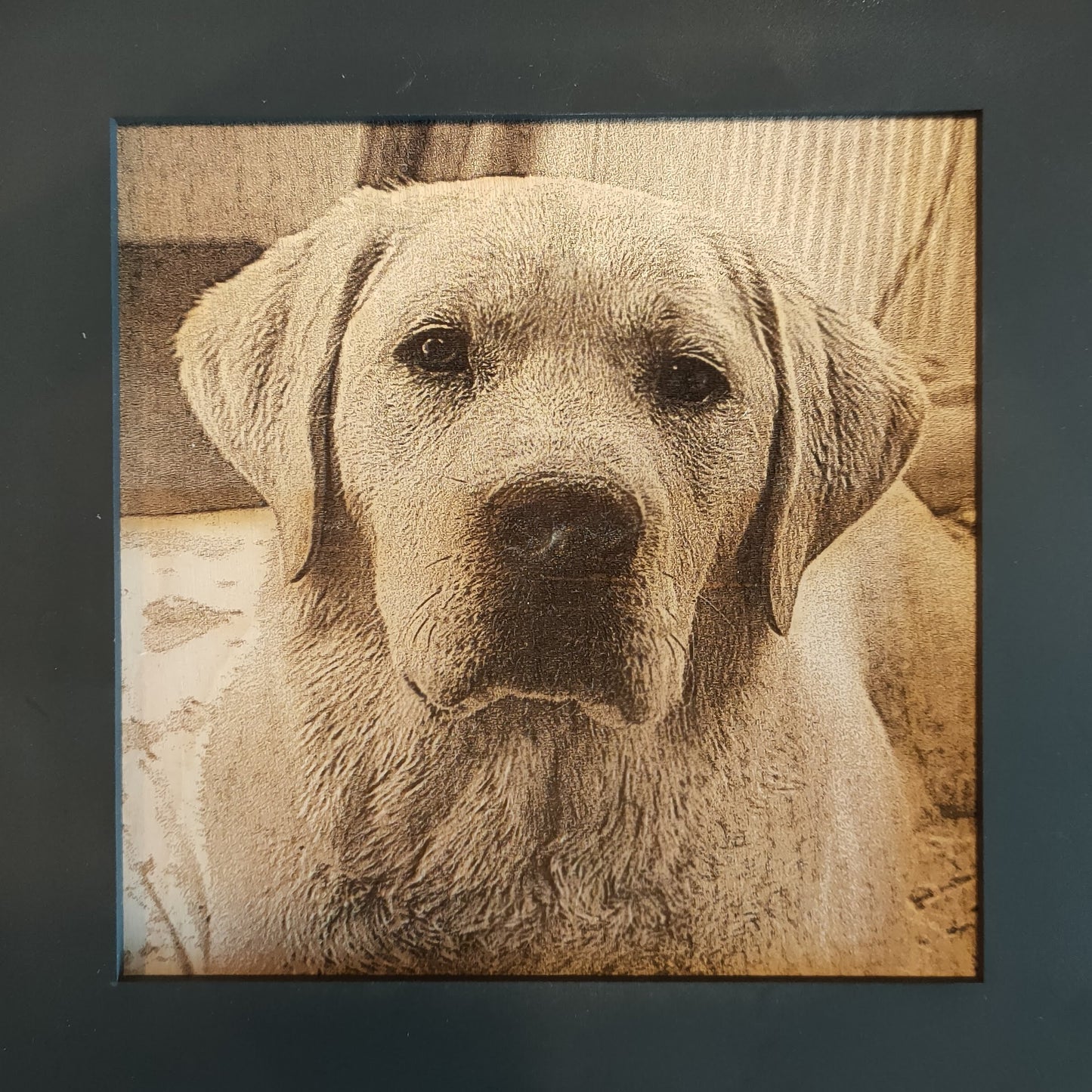 Engraved Pet Portraits