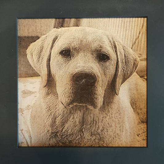 Engraved Pet Portraits